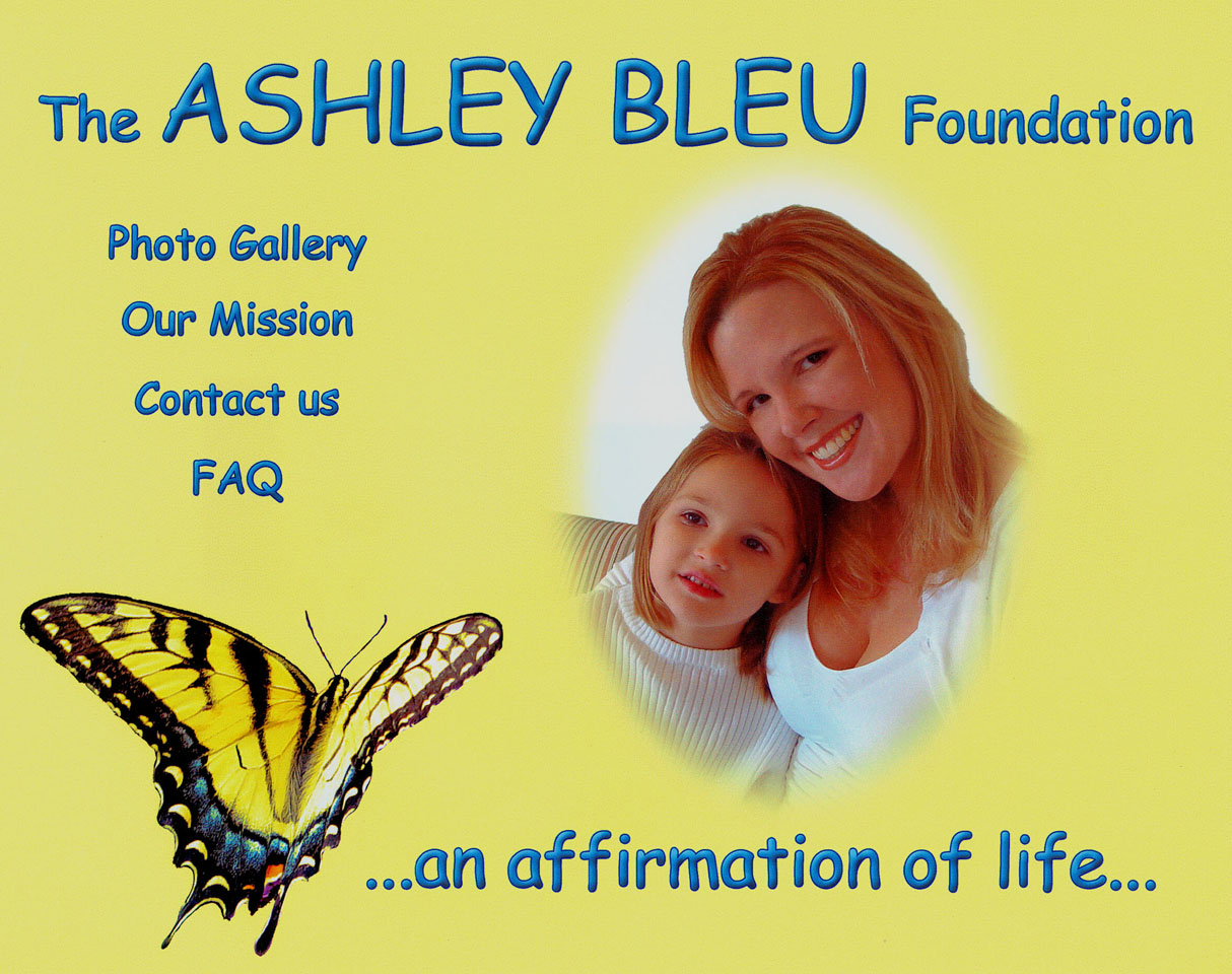 Ashley Bleu Foundation Flyer