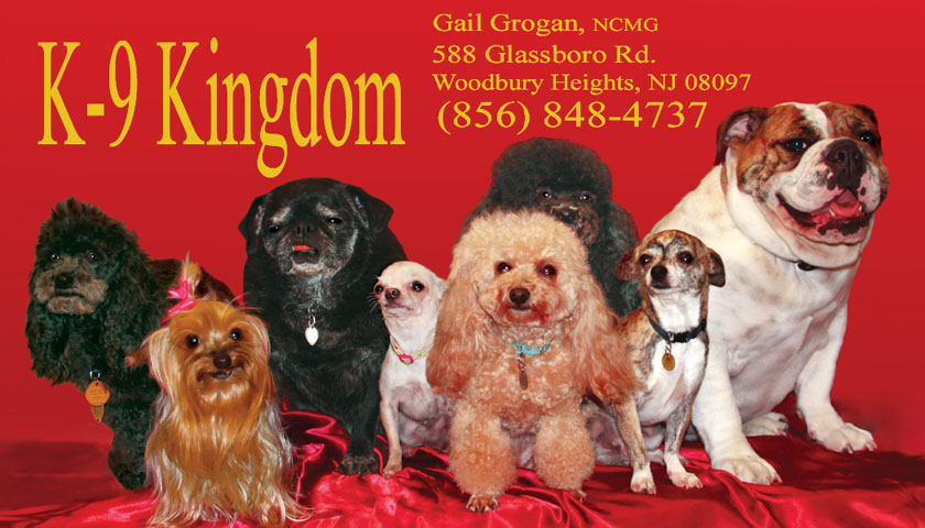 Dog Grooming Business