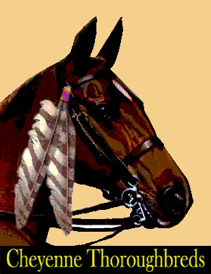 Cheyenne Thoroughbreds