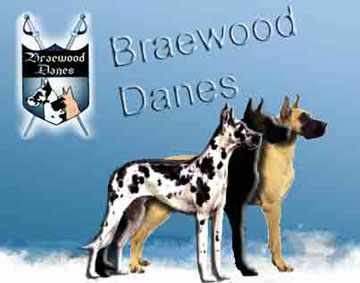 Braewood Dames