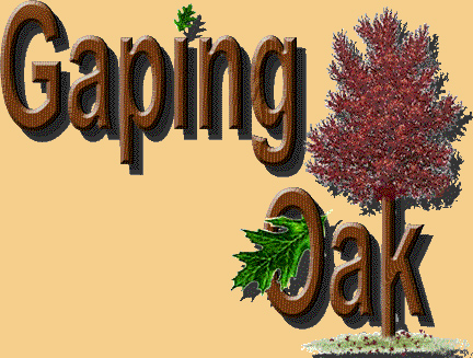Gaping Oak