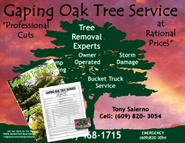 Gaping oak Business Package