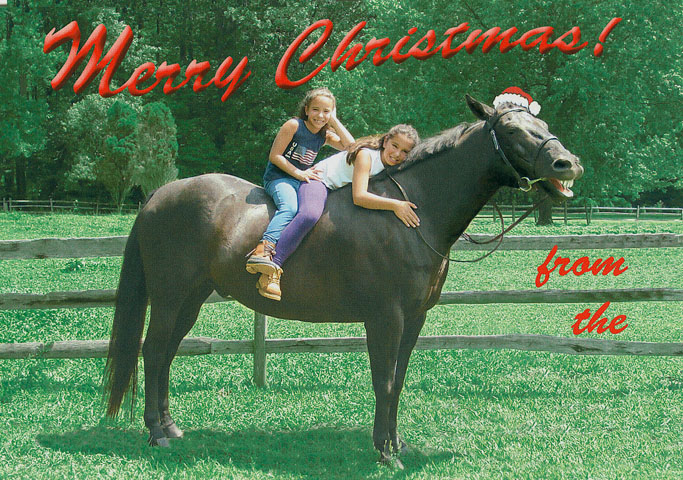Horse Merry Christmas